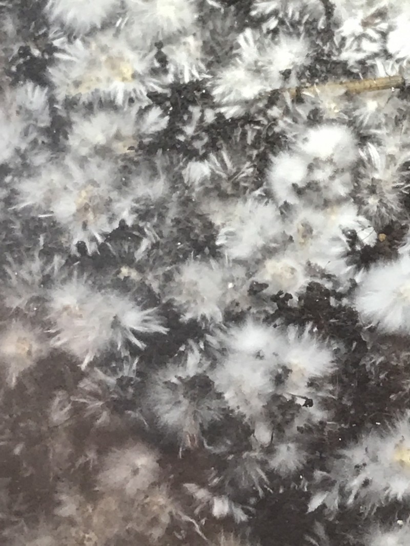 8AB0D73A-3633-43BF-BA6D-9518B6D7CA31