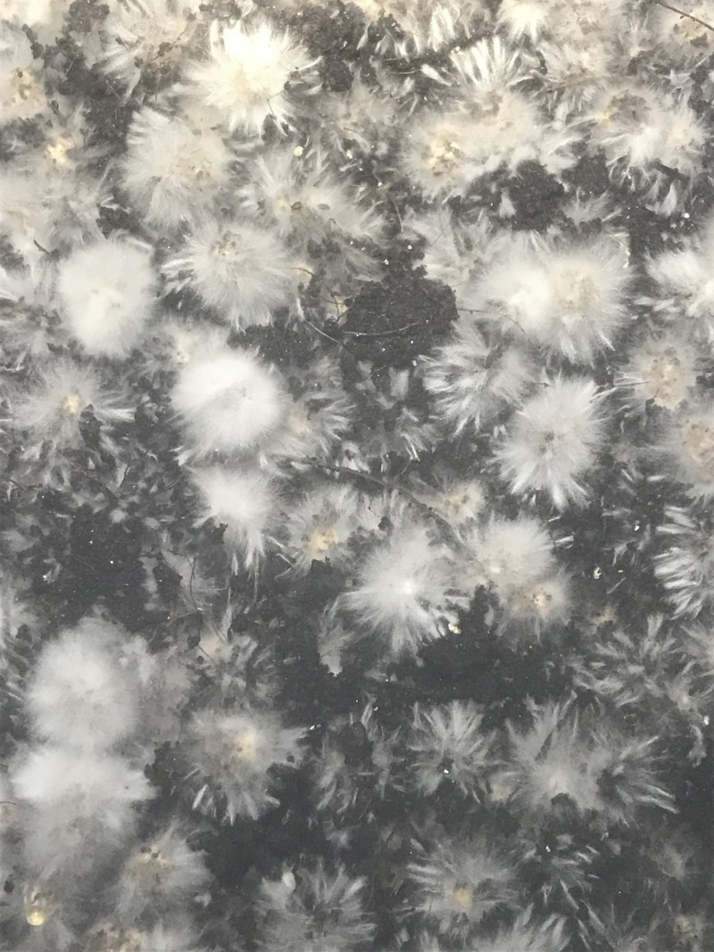 093C3840-0A50-4222-BC93-950CD2D3FCD6