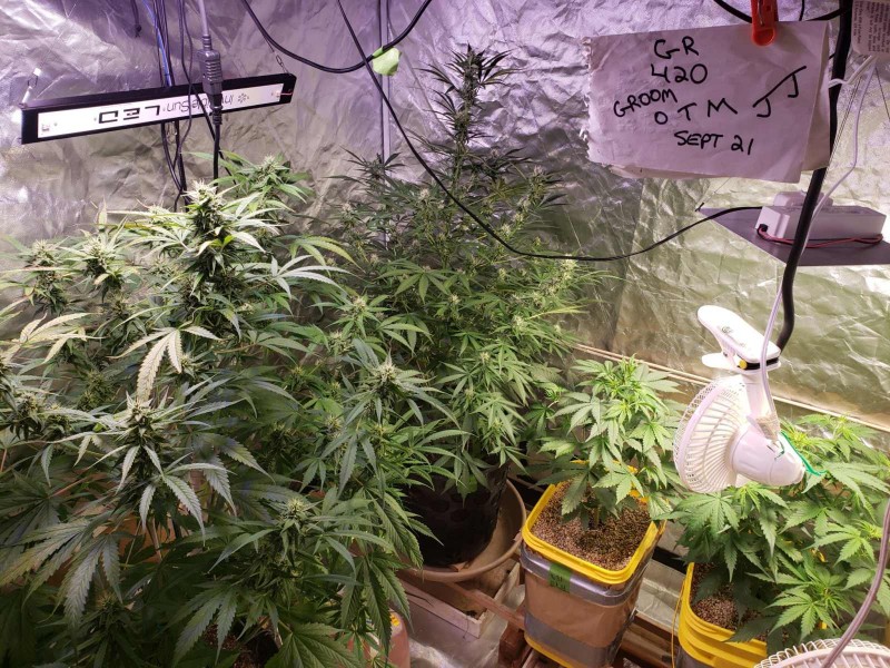 16330520065057941753088156700155