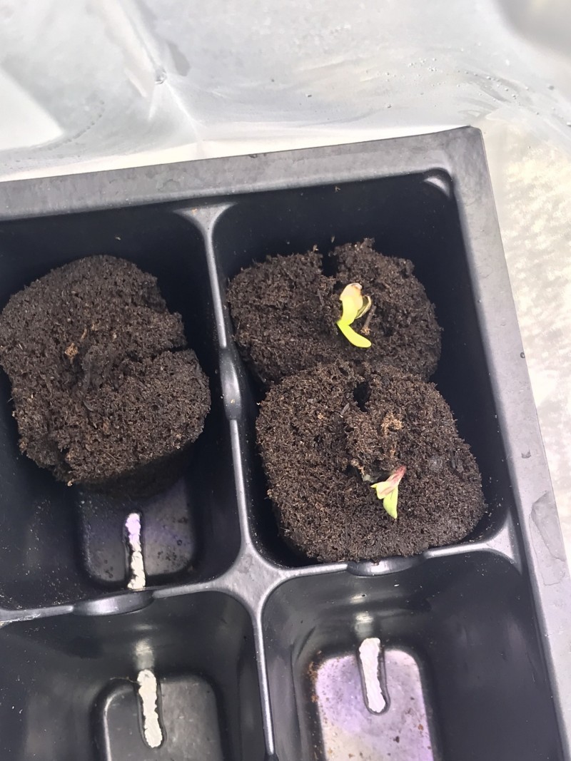 C545ECAA-7734-4015-8BF5-4B24D7D5A59E