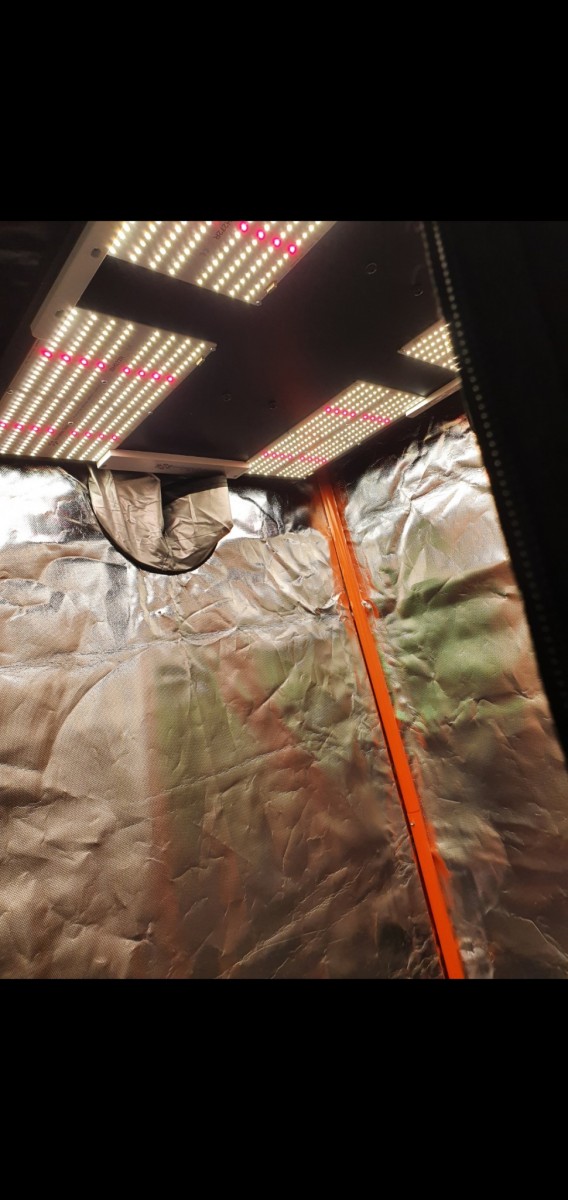 Screenshot_20211001-151247_Gallery