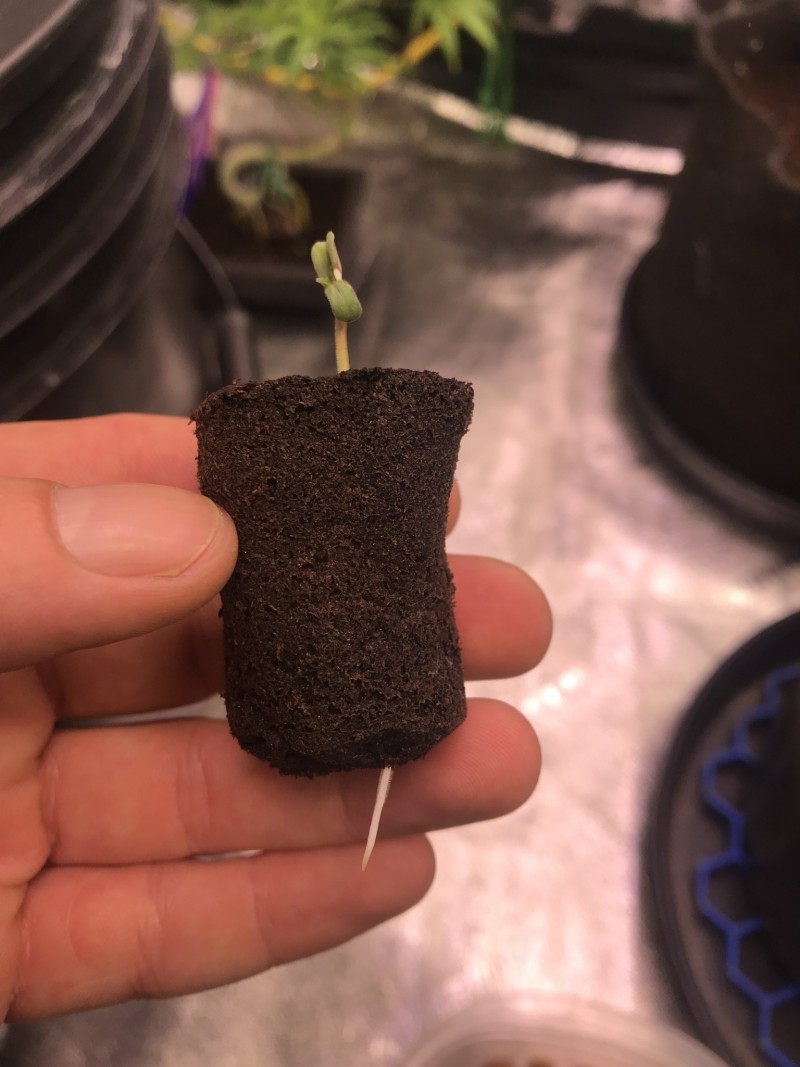 2B8ABBBF-A5B2-4ADF-9975-183973529EE2