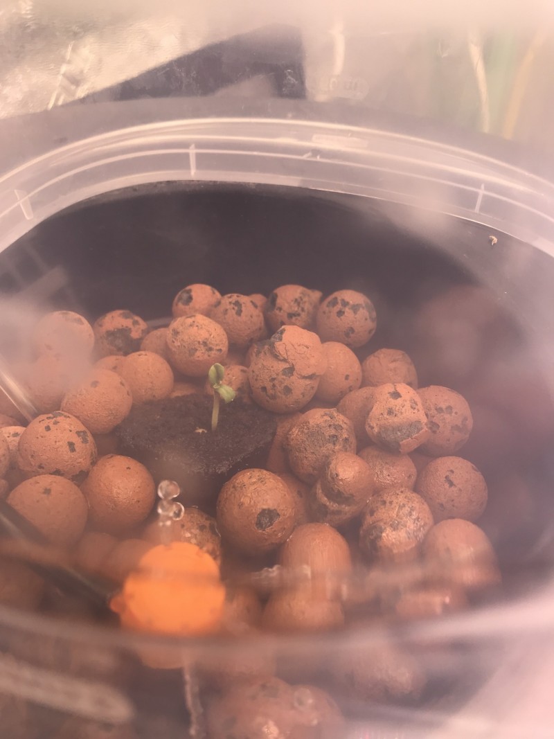 E7AF75B2-6734-428C-96E3-2D3796C0FD84