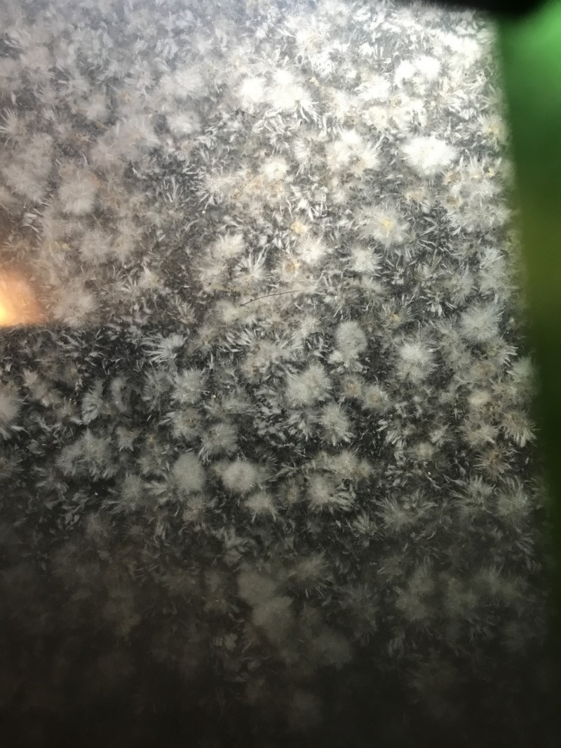 7DB3E68B-6C9D-4E4E-8D7F-82E38BEC3B01