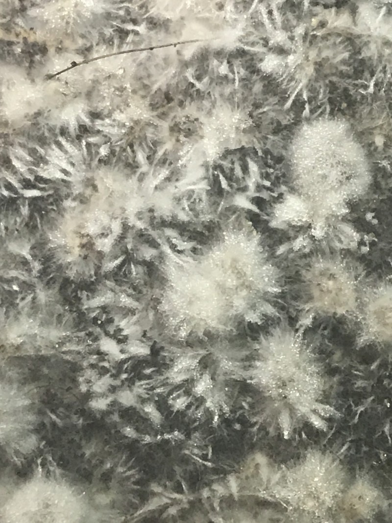 79B08F9B-CBFE-4CBC-8D09-C3FA5BBC75DA