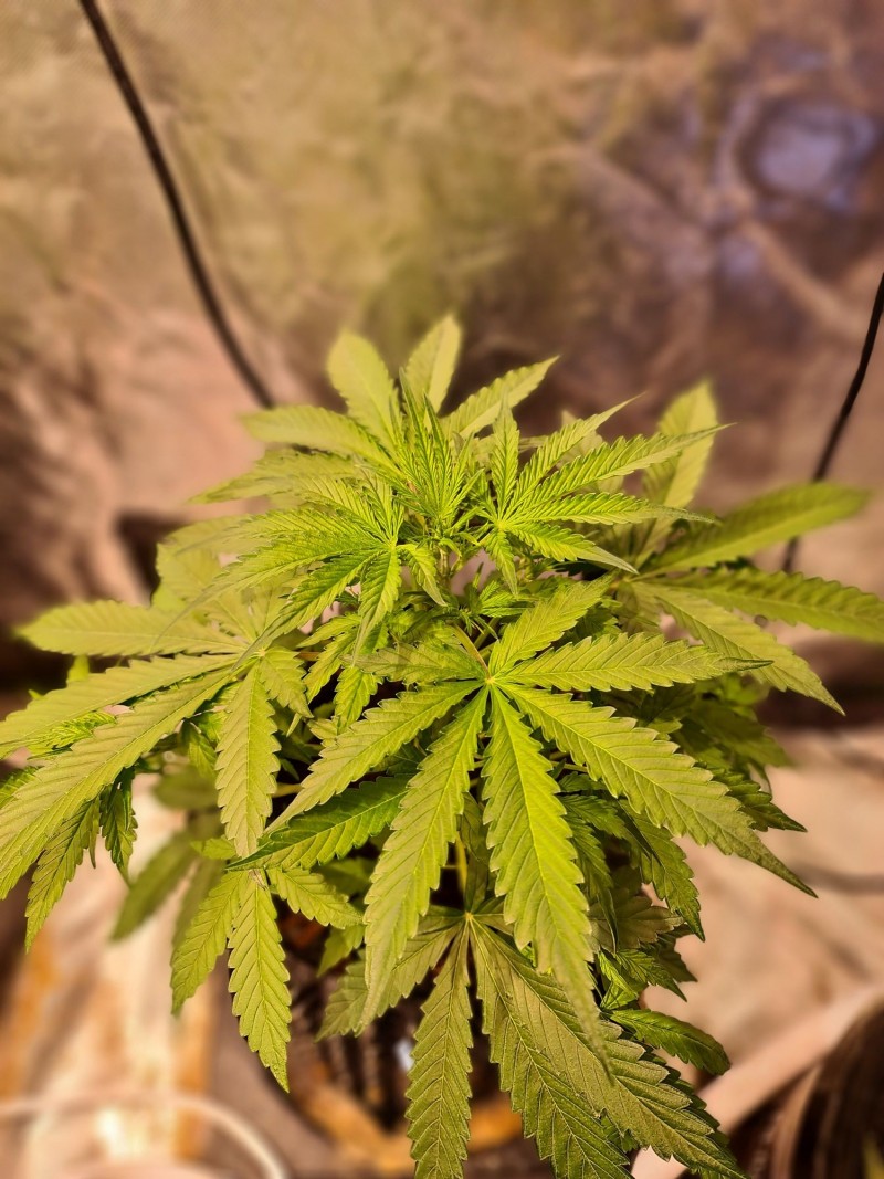 20211002_224305_compress51