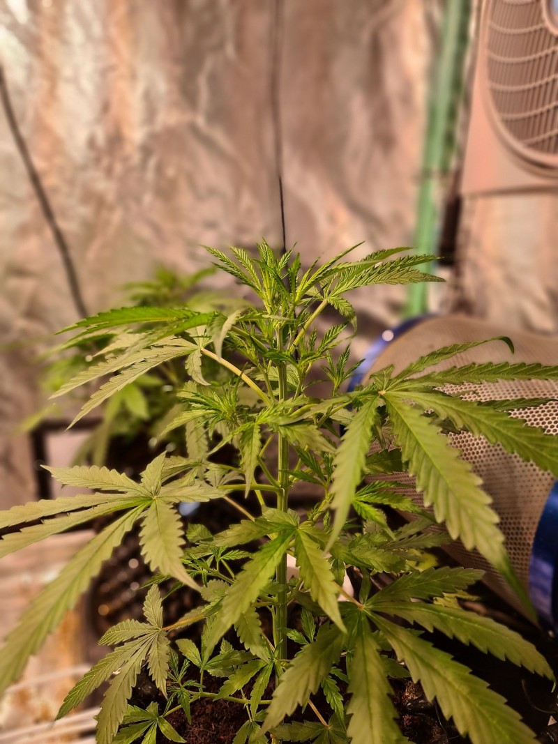 20211002_224213_compress60