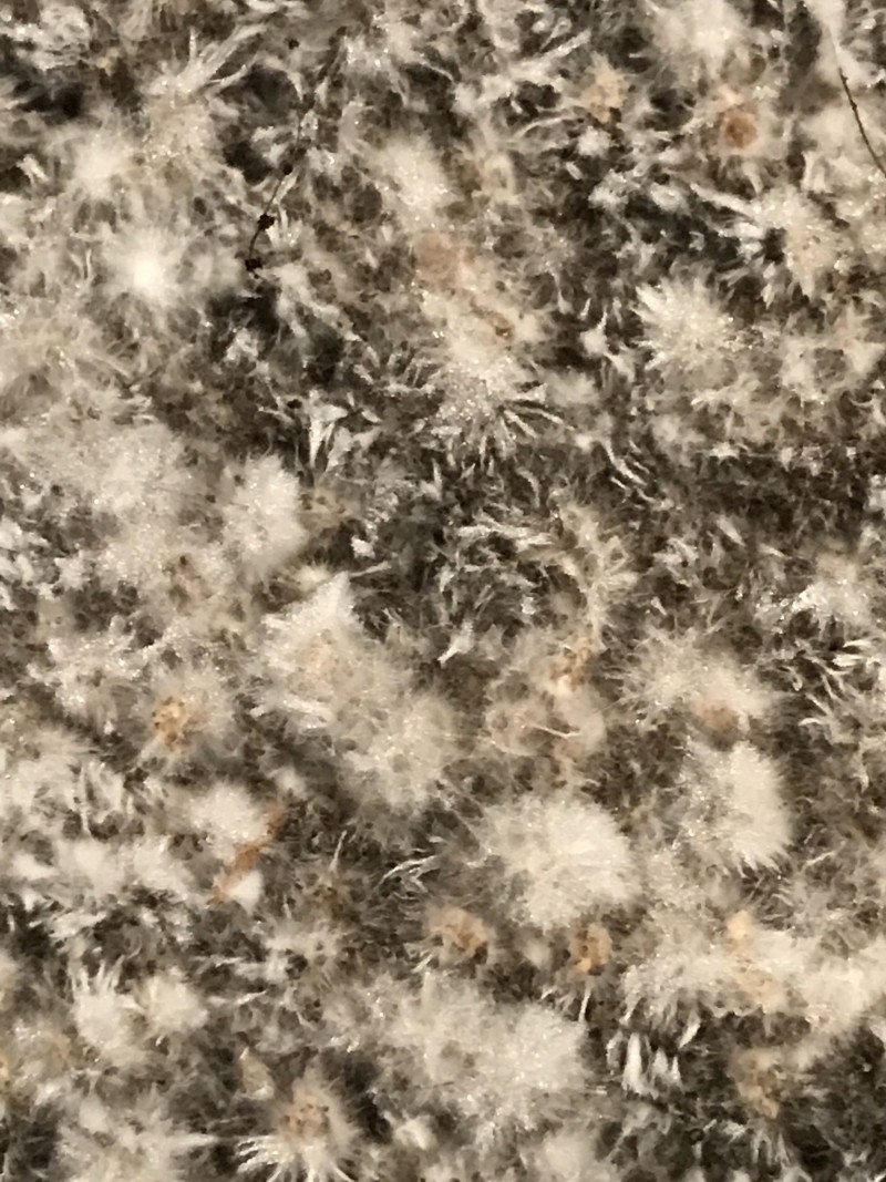 8F289C05-5001-46CC-BD85-44A7F658BD4F