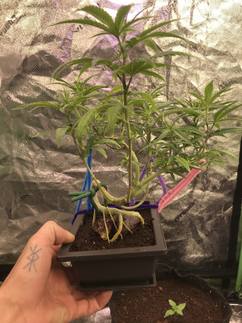 05C48848-E05F-46B8-BB50-F201B1CB2CD5