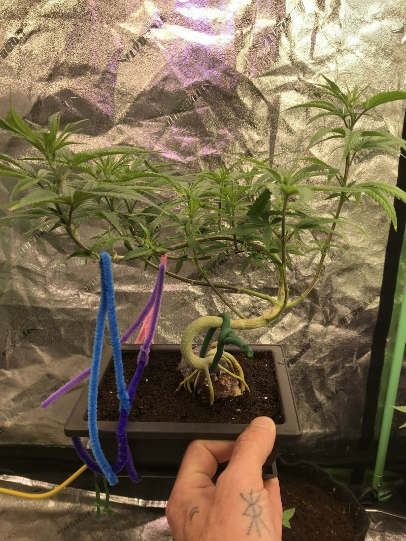 8F7A82EB-0966-4B74-B418-28D8B38D20B8