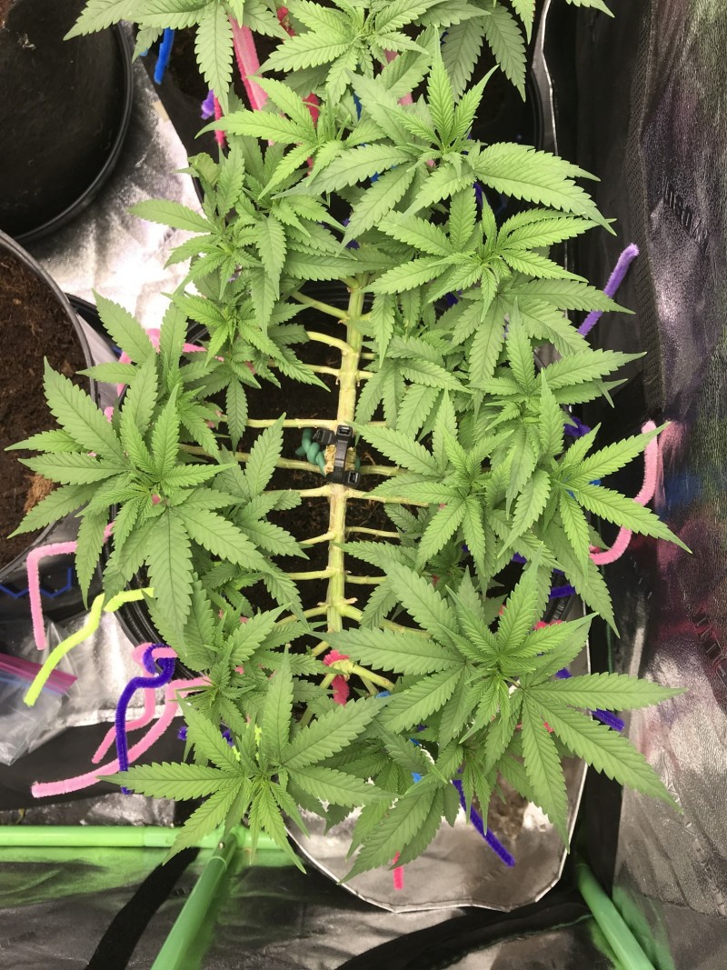 D47A6A7B-D18A-4B6B-97A6-16019BD6A547