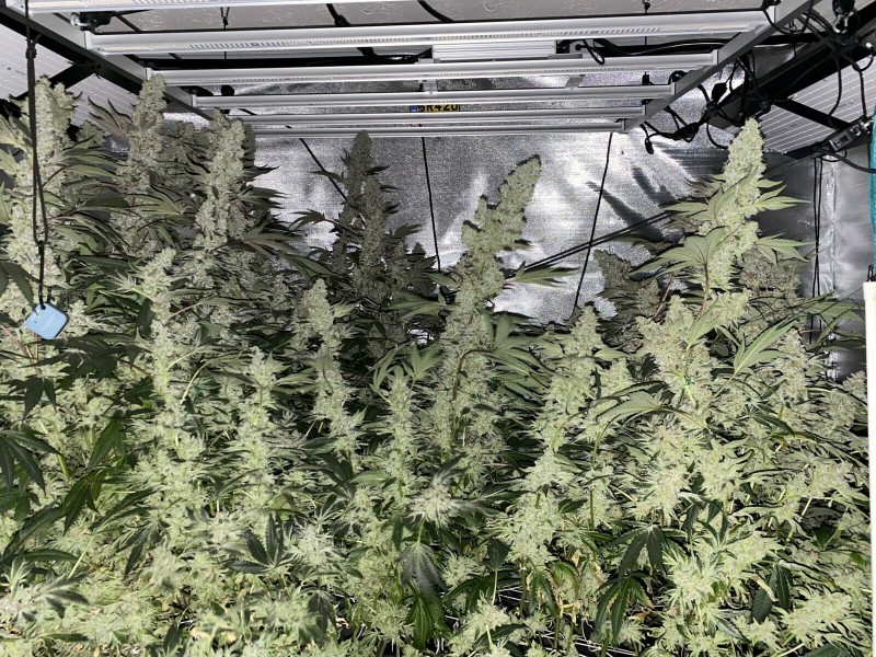 A7EE3B84-DD85-4B7B-AC54-5F2F4AE96FD9