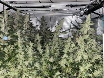 A7EE3B84-DD85-4B7B-AC54-5F2F4AE96FD9