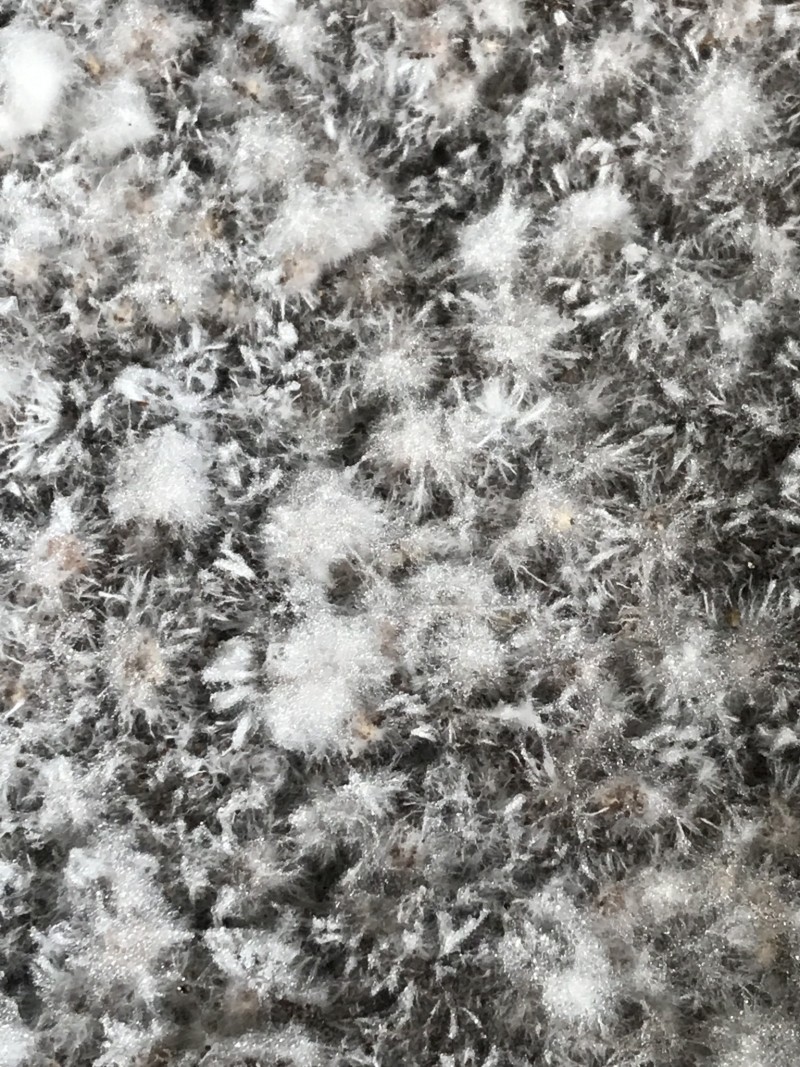 1A094243-8E1E-4203-AD34-8DF0702A4AB4