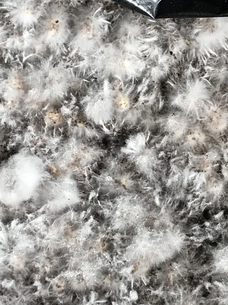 C64D02C0-041B-47A3-B27B-E7B9675B41C6