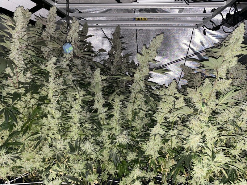 0BE96D7B-8653-4F56-AE19-1177ECFA3164