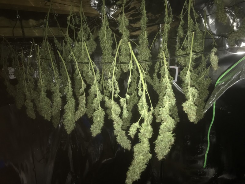 2AA298BB-0004-411E-9391-A55BFD0D45E2