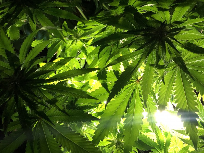 CC41D9ED-F572-40D7-AC2E-C38D7E3AEEFE