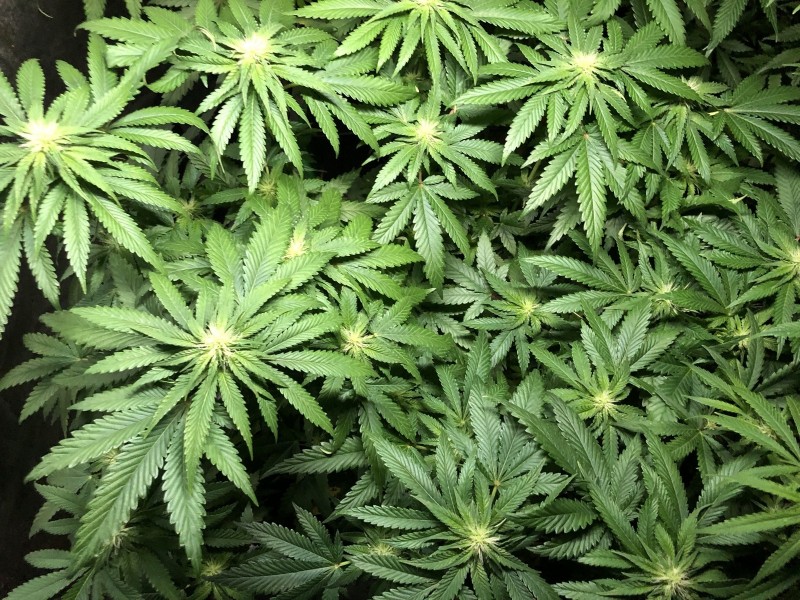 2528FD95-C1EF-4709-AF78-1386A22EEFE1