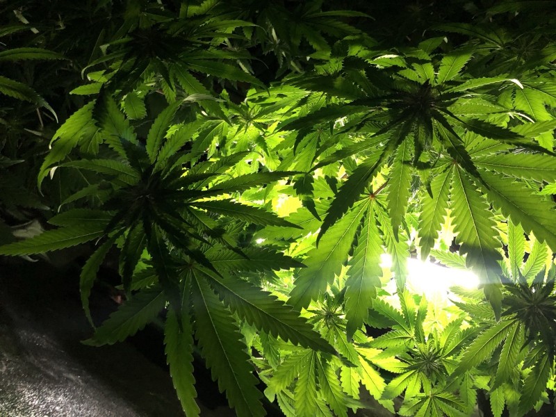 F7ED1E2A-23CC-4CD5-9865-CECBDB731317