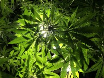 62934C46-B369-4697-8B98-A336F814C1B9