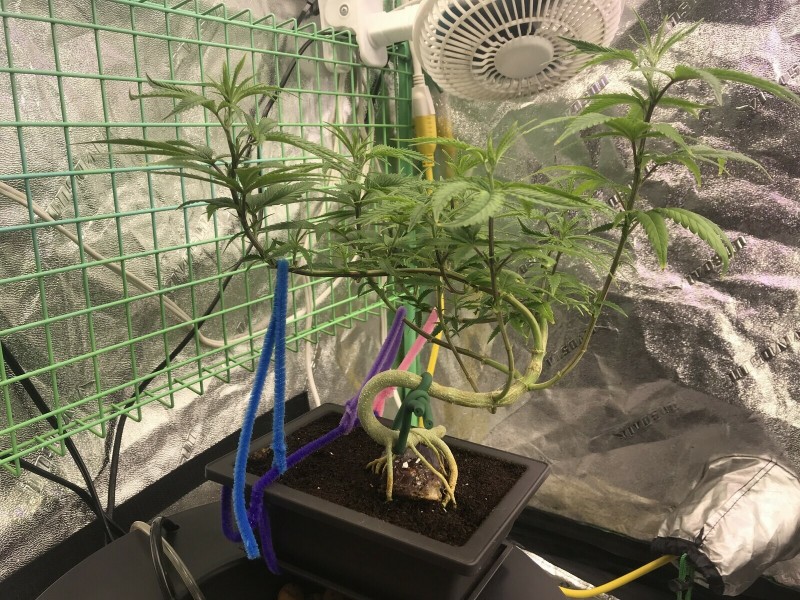 D1DE0E0F-EFBD-4B49-9638-F9E25397D0C0