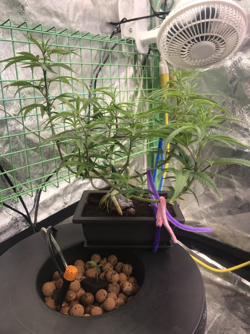 C41DAFE0-B41A-4E89-B379-7D2476B80196