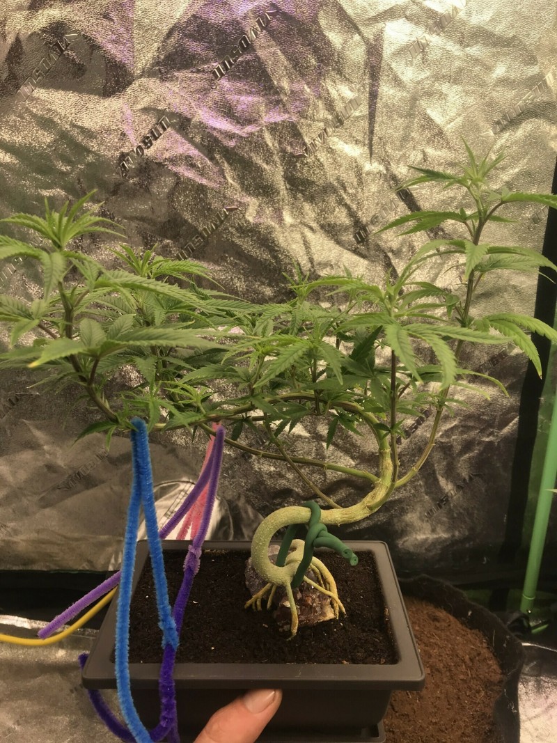 191E39B0-CF93-455F-9E4E-FC7B4847591D