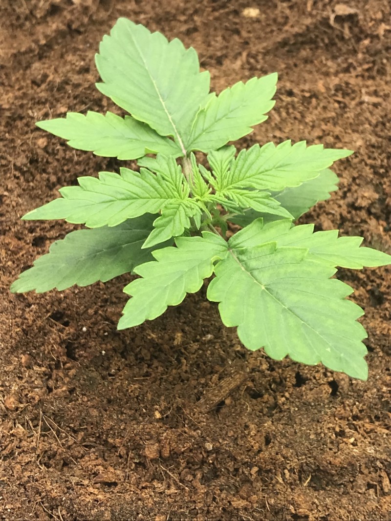 7EC2AEA4-77B2-4144-A9EE-8155CD9B71E8