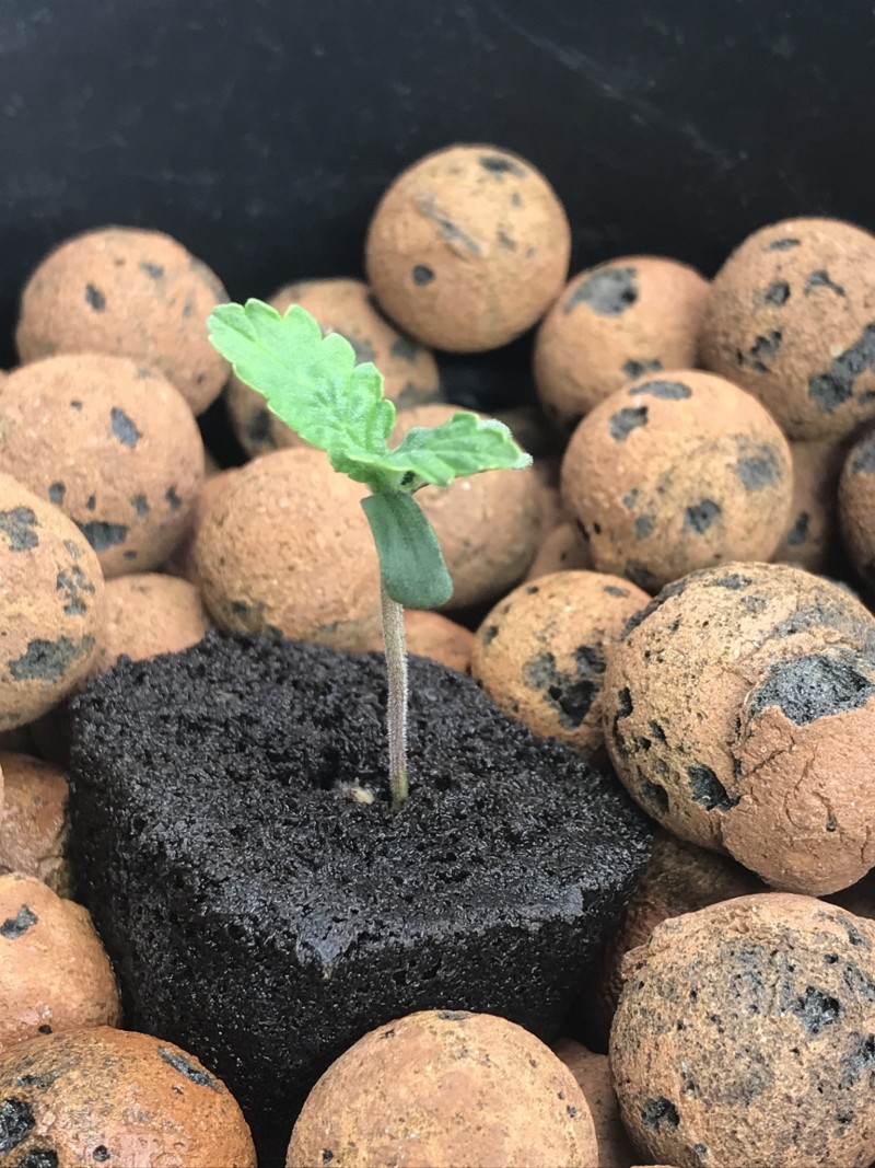 EFE65333-71D2-4C66-86C9-C6C0D48ED9B5