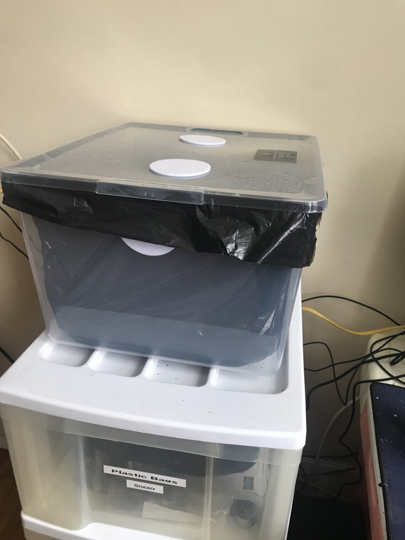 C5C53E77-6F8C-40AD-ACC4-BA3FA7276DF2