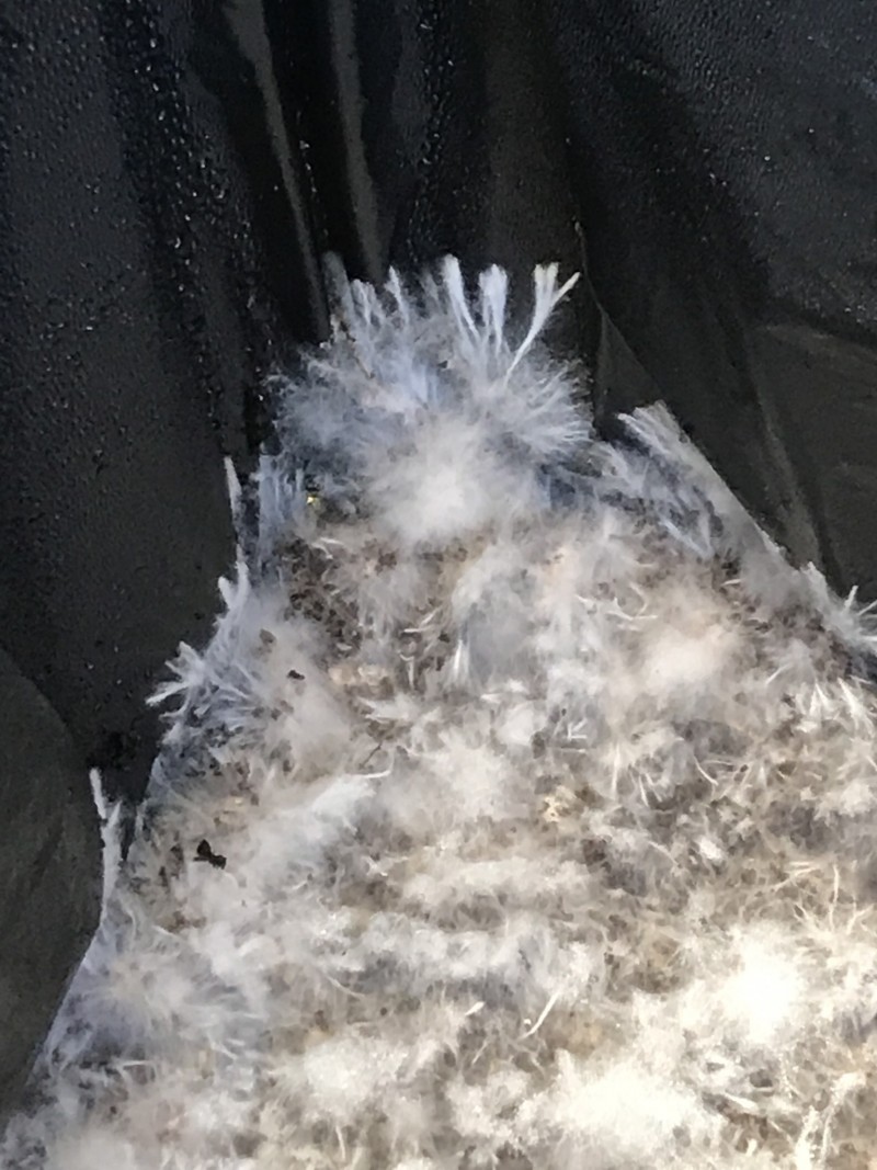 F5ACBBF0-5EAB-408E-B11F-D3E5CD8E759C