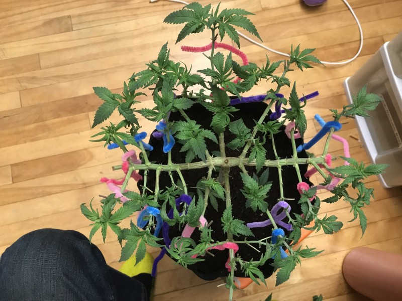 0F53ED88-08B7-423A-AAD5-28D3763F1B5C