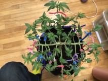 0F53ED88-08B7-423A-AAD5-28D3763F1B5C