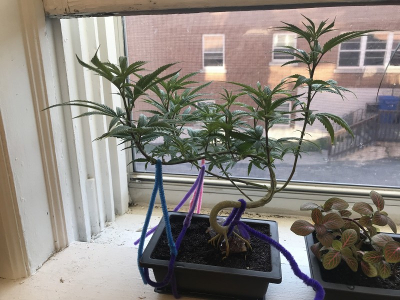 DA135209-82C2-4B9B-98D7-295C32422864