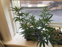 8669342B-6413-43C3-B318-2454B12355CE