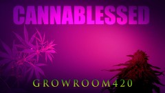 4B05C888-71C4-40C3-95F8-5B266E0A039A