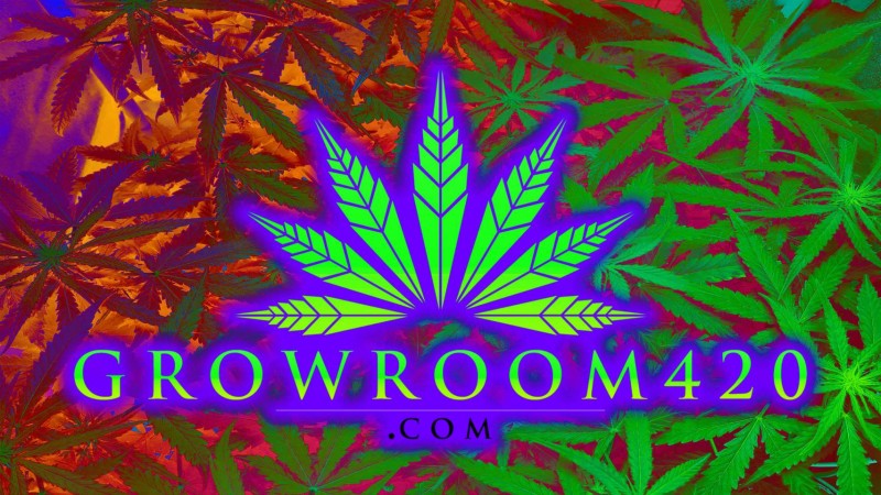 DA4CDF0F-1A94-4ADE-A032-E1DECF519481