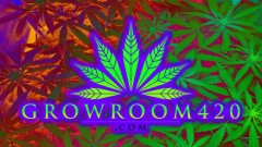 DA4CDF0F-1A94-4ADE-A032-E1DECF519481