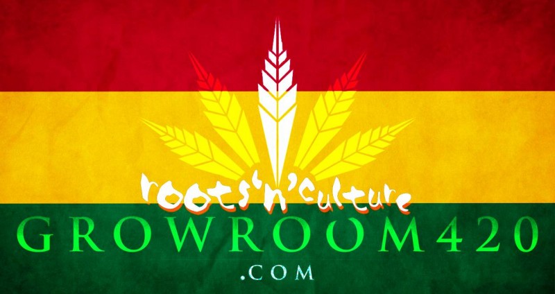 15AA36B2-41CB-4C87-9C9F-C419575D7EDC