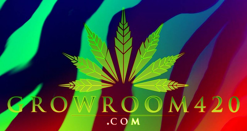 D18BB9A4-9664-4348-96F5-D798A325DAF3