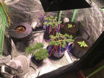 438BEEE2-3B93-429E-9C24-2A964637E3DD