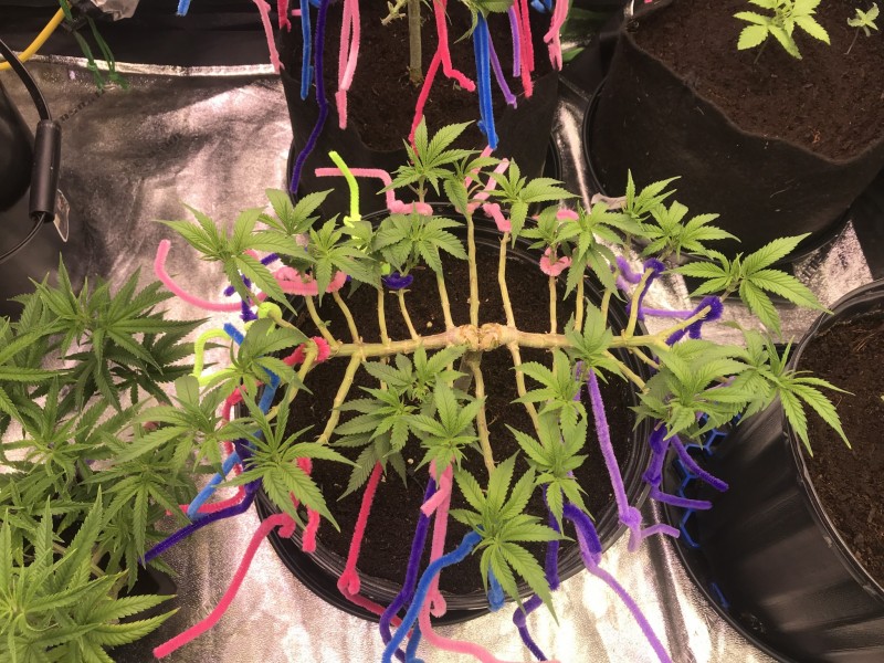 341CFDFE-06BF-484E-A2F8-80241BC4E128