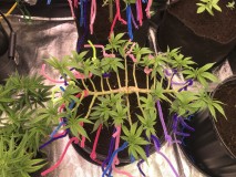 341CFDFE-06BF-484E-A2F8-80241BC4E128