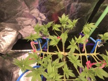 8D9BC484-8C8A-4BA2-AF19-04E596AA9F6D