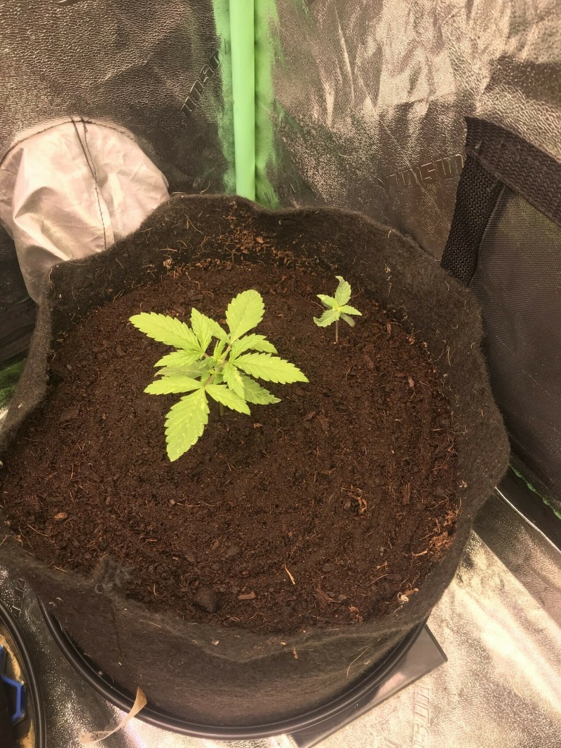 95D5CA68-0CF9-45C6-ABA3-19BA821DAB1C