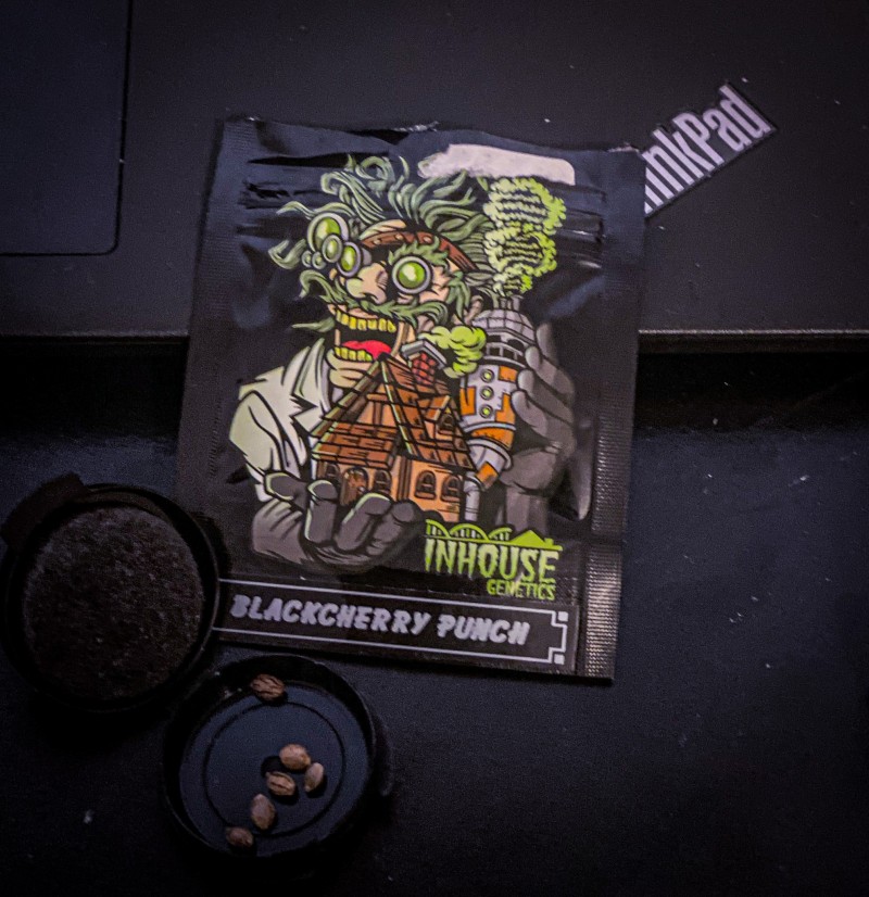 D9027EFD-6E51-438E-8FE3-C5512EF3156F