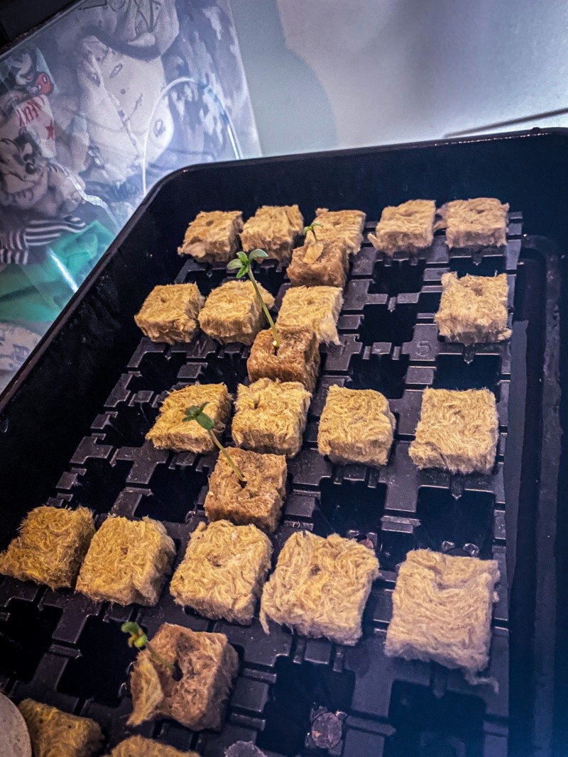 5DCDF73E-7458-4157-80B0-63C31DFD4273