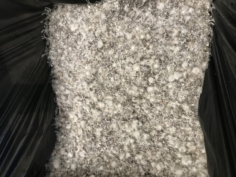 4FB3F966-66A9-4503-B8F1-D85A257D6FD9