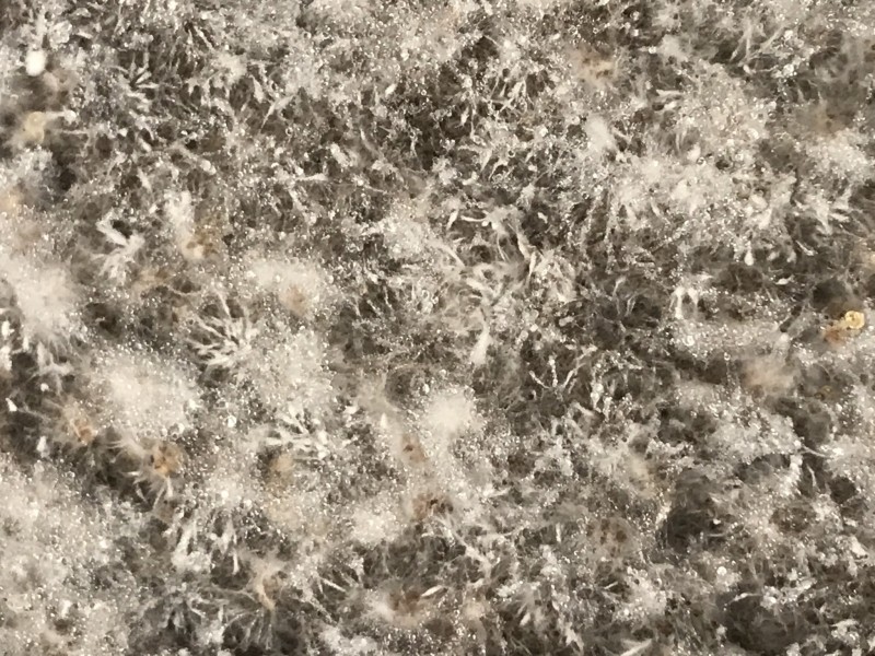 3A7E7D36-00CA-4FA1-B61B-0A9E4E091661